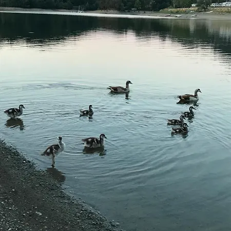公寓 Panorama Diemelsee